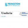 UMBRIA SYNTHETIQUE BISEAU SERIE P6200AB