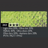 OLIVE CLAIR 20% 243