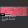 ROSE PORTRAIT 582