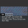 GRIS DE PAYNE 50% 506