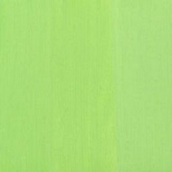 VERT DE NICE