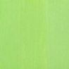 VERT DE NICE