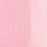 ROSE DES ANTILLES
