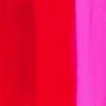 MAGENTA PRIMAIRE
