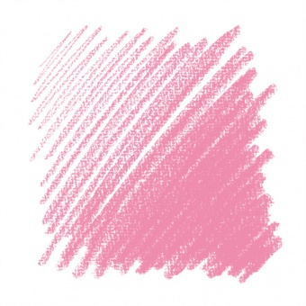 ROSE 011