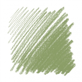 GRIS VERT 051