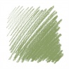 GRIS VERT 051