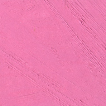DIANTHUS PINK