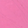DIANTHUS PINK