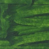 SAP GREEN