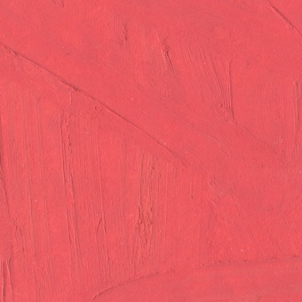 WARM PINK