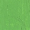 PERMANENT GREEN