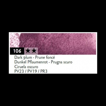 PRUNE FONCE