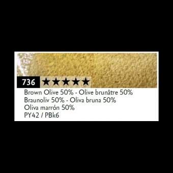 OLIVE BRUNATRE 50%