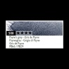 GRIS DE PAYNE