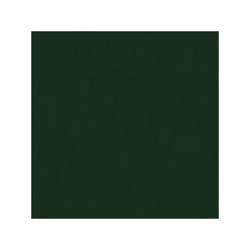AEROSOL VERT DE HOOKER PERMANENT (IMIT.)