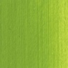 VERT CADMIUM PALE