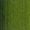 VERT DE VESSIE PERMANENT