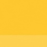 JAUNE JAPONAIS FONCE