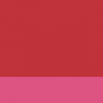 ROUGE RUBIS