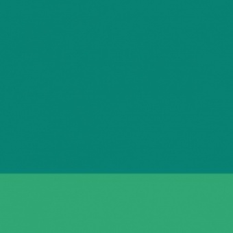 VERT JAPONAIS CLAIR