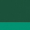 VERT JAPONAIS FONCE