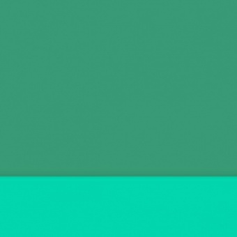 VERT JAPONAIS MOYEN