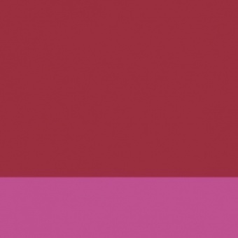 VIOLET PERMANENT