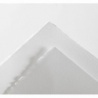 FEUILLE ARCHES HUILE 56 X 76 300G BLANC