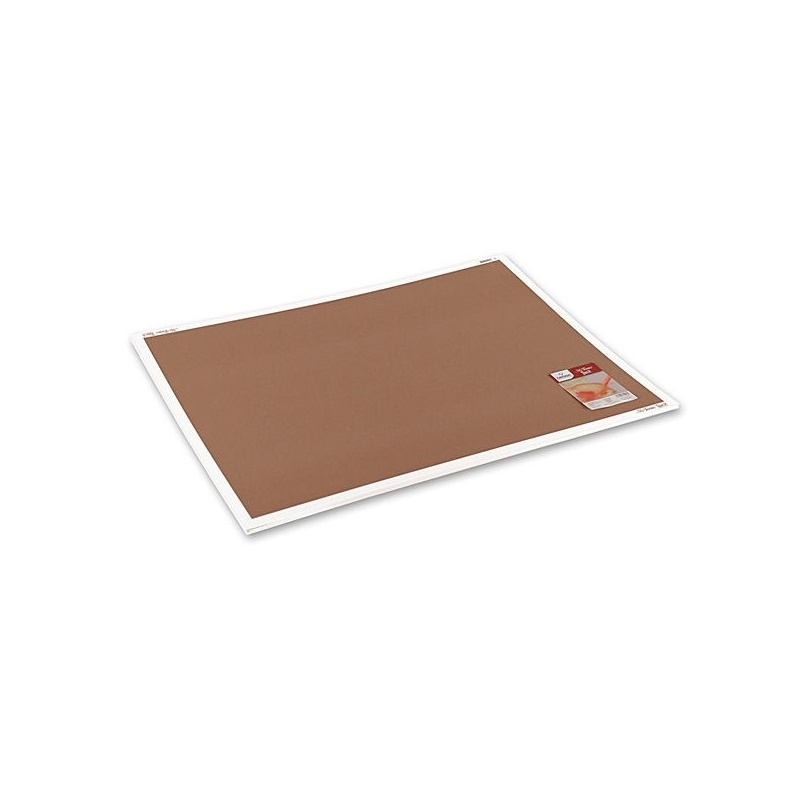 MI TEINTES TOUCH FEUILLE 50 X 65 335G SEPIA   133