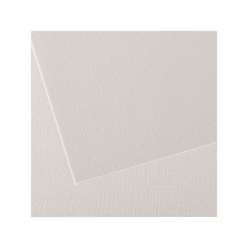 FIGUERAS FEUILLE 50 X 65 290G GRAIN TOILE BLANC