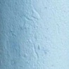 BLUE VIOLET 14