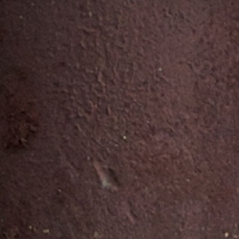 BROWN EARTH 6