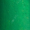 GREEN 25