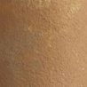 BROWN EARTH 28