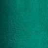 GREEN 19