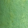 GREEN 16