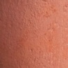 RED EARTH 10