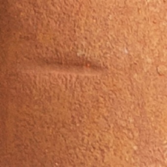 BROWN EARTH 11