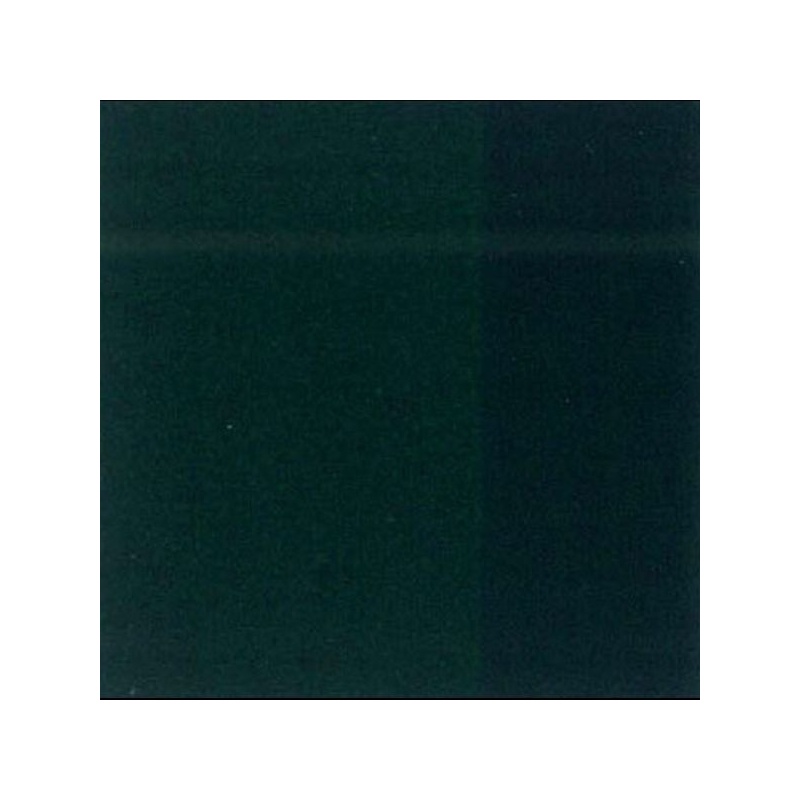 VERT PERMANENT FONCE