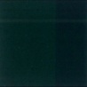 VERT PERMANENT FONCE