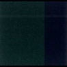 VERT DE VESSIE