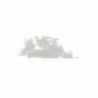 GRIS DE SOURIS 10