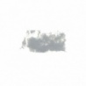 GRIS DE SOURIS 9