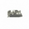 GRIS 8