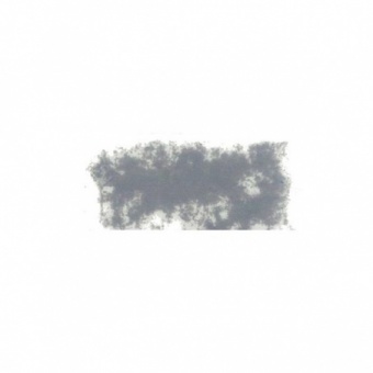 GRIS DE SOURIS 8