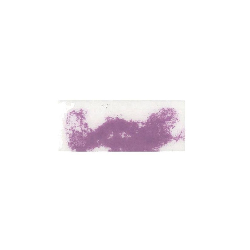VIOLET 7