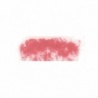 ROSE PERMANENT 7