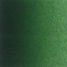 VERT DE VESSIE 623