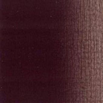 TETE MORTE VIOLETTE